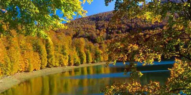 3 días – 2 noches Selva de Irati y Pirineos